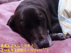 2013.12.31	【寄付報告】